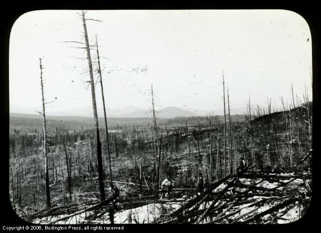 Hike through Burned Woods